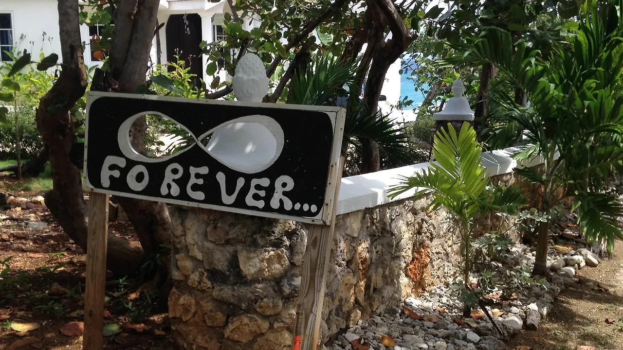 Forever Cottage Robins Bay Inn